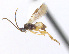  ( - CNC469711)  @12 [ ] CreativeCommons  Attribution Non-Commercial Share-Alike (2016) Unspecified Canadian National Collection of Insects