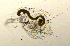  ( - BarCrust 101)  @11 [ ] CreativeCommons - Attribution Non-Commercial Share-Alike (2015) A. Hobæk Norwegian Institute for Water Research