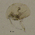  ( - BarCrust 108)  @11 [ ] CreativeCommons - Attribution Non-Commercial Share-Alike (2015) A. Hobæk Norwegian Institute for Water Research