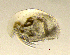  ( - BarCrust 2)  @11 [ ] CreativeCommons - Attribution Non-Commercial Share-Alike (2015) A. Hobæk Norwegian Institute for Water Research