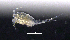  ( - BarCrust 226)  @11 [ ] CreativeCommons - Attribution Non-Commercial Share-Alike (2015) A. Hobæk Norwegian Institute for Water Research