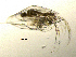  ( - BarCrust 51)  @11 [ ] CreativeCommons - Attribution Non-Commercial Share-Alike (2015) A. Hobæk Norwegian Institute for Water Research