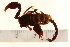  ( - VF-0804-1)  @11 [ ] CreativeCommons - Attribution (2010) Gergin Blagoev, Centre for Biodiversity Genomics Centre for Biodiversity Genomics