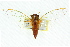  ( - 11ANIC-16635)  @11 [ ] CreativeCommons - Attribution (2011) ANIC/CBG Photography Group Centre for Biodiversity Genomics