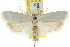  ( - CCDB-15722-G10)  @14 [ ] CreativeCommons - Attribution (2011) ANIC/CBG Photography Group Centre for Biodiversity Genomics