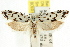  ( - CCDB-15730-C02)  @14 [ ] CreativeCommons - Attribution (2011) ANIC/CBG Photography Group Centre for Biodiversity Genomics