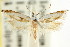  ( - CCDB-15732-D04)  @12 [ ] CreativeCommons - Attribution (2011) ANIC/CBG Photography Group Centre for Biodiversity Genomics