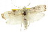  ( - CCDB-15733-E07)  @11 [ ] CreativeCommons - Attribution (2011) ANIC/CBG Photography Group Centre for Biodiversity Genomics