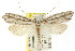  ( - CCDB-15734-H09)  @11 [ ] CreativeCommons - Attribution (2011) ANIC/CBG Photography Group Centre for Biodiversity Genomics