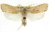  ( - CCDB-15735-C03)  @11 [ ] CreativeCommons - Attribution (2011) ANIC/CBG Photography Group Centre for Biodiversity Genomics