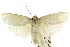  ( - CCDB-15736-B07)  @14 [ ] CreativeCommons - Attribution (2011) ANIC/CBG Photography Group Centre for Biodiversity Genomics