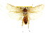  ( - CCDB-15739-B02)  @11 [ ] CreativeCommons - Attribution (2011) ANIC/CBG Photography Group Centre for Biodiversity Genomics