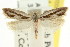  ( - CCDB-15739-E08)  @11 [ ] CreativeCommons - Attribution (2011) ANIC/CBG Photography Group Centre for Biodiversity Genomics