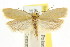  ( - CCDB-15739-G10)  @15 [ ] CreativeCommons - Attribution (2011) ANIC/CBG Photography Group Centre for Biodiversity Genomics