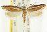  ( - CCDB-15741-B09)  @11 [ ] CreativeCommons - Attribution (2011) ANIC/CBG Photography Group Centre for Biodiversity Genomics