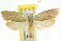  ( - CCDB-15741-F05)  @11 [ ] CreativeCommons - Attribution (2011) ANIC/CBG Photography Group Centre for Biodiversity Genomics
