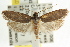 ( - CCDB-15743-C05)  @11 [ ] CreativeCommons - Attribution (2011) ANIC/CBG Photography Group Centre for Biodiversity Genomics