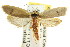  ( - CCDB-15744-B12)  @11 [ ] CreativeCommons - Attribution (2011) ANIC/CBG Photography Group Centre for Biodiversity Genomics