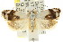  ( - CCDB-15747-C09)  @14 [ ] CreativeCommons - Attribution (2011) ANIC/CBG Photography Group Centre for Biodiversity Genomics