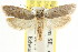  ( - CCDB-15748-G09)  @11 [ ] CreativeCommons - Attribution (2011) ANIC/CBG Photography Group Centre for Biodiversity Genomics