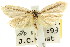  ( - CCDB-15749-E06)  @11 [ ] CreativeCommons - Attribution (2011) ANIC/CBG Photography Group Centre for Biodiversity Genomics