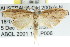  ( - CCDB-15755-A06)  @12 [ ] CreativeCommons - Attribution (2011) ANIC/CBG Photography Group Centre for Biodiversity Genomics