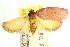  ( - CCDB-15765-E05)  @11 [ ] CreativeCommons - Attribution (2011) ANIC/CBG Photography Group Centre for Biodiversity Genomics