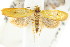 (Mionolena euxantha - CCDB-15775-G11)  @13 [ ] CreativeCommons - Attribution (2011) ANIC/CBG Photography Group Centre for Biodiversity Genomics