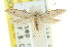  ( - CCDB-15777-G11)  @11 [ ] CreativeCommons - Attribution (2011) ANIC/CBG Photography Group Centre for Biodiversity Genomics