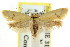  ( - CCDB-15789-B04)  @13 [ ] CreativeCommons - Attribution (2011) ANIC/CBG Photography Group Centre for Biodiversity Genomics