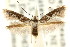  ( - CCDB-15818-B02)  @14 [ ] CreativeCommons - Attribution (2011) ANIC/CBG Photography Group Centre for Biodiversity Genomics