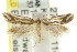  ( - CCDB-15820-D12)  @11 [ ] CreativeCommons - Attribution (2011) ANIC/CBG Photography Group Centre for Biodiversity Genomics