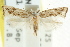  ( - CCDB-15840-A12)  @11 [ ] CreativeCommons - Attribution (2011) ANIC/CBG Photography Group Centre for Biodiversity Genomics