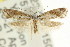  ( - CCDB-15845-B07)  @11 [ ] CreativeCommons - Attribution (2011) ANIC/CBG Photography Group Centre for Biodiversity Genomics