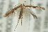  ( - 10ANIC-02949)  @13 [ ] CreativeCommons - Attribution (2010) CBG Photography Group Centre for Biodiversity Genomics