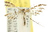  ( - 10ANIC-03180)  @11 [ ] CreativeCommons - Attribution (2010) CBG Photography Group Centre for Biodiversity Genomics