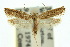  ( - 10ANIC-04184)  @11 [ ] CreativeCommons - Attribution (2010) CBG Photography Group Centre for Biodiversity Genomics