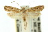 ( - 10ANIC-04186)  @11 [ ] CreativeCommons - Attribution (2010) CBG Photography Group Centre for Biodiversity Genomics