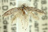  ( - 10ANIC-04471)  @14 [ ] CreativeCommons - Attribution (2010) CBG Photography Group Centre for Biodiversity Genomics