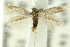  ( - 10ANIC-04547)  @11 [ ] CreativeCommons - Attribution (2010) CBG Photography Group Centre for Biodiversity Genomics