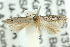  ( - 10ANIC-04697)  @13 [ ] CreativeCommons - Attribution (2010) CBG Photography Group Centre for Biodiversity Genomics