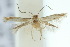  ( - 10ANIC-04733)  @13 [ ] CreativeCommons - Attribution (2010) CBG Photography Group Centre for Biodiversity Genomics