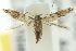  ( - 10ANIC-04836)  @14 [ ] CreativeCommons - Attribution (2010) CBG Photography Group Centre for Biodiversity Genomics