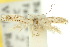  ( - 10ANIC-04967)  @14 [ ] CreativeCommons - Attribution (2010) CBG Photography Group Centre for Biodiversity Genomics