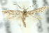  ( - 10ANIC-04969)  @13 [ ] CreativeCommons - Attribution (2010) CBG Photography Group Centre for Biodiversity Genomics