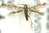  ( - 10ANIC-04972)  @13 [ ] CreativeCommons - Attribution (2010) CBG Photography Group Centre for Biodiversity Genomics