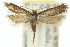  ( - 10ANIC-05018)  @13 [ ] CreativeCommons - Attribution (2010) CBG Photography Group Centre for Biodiversity Genomics