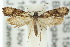  ( - 10ANIC-05068)  @14 [ ] CreativeCommons - Attribution (2010) CBG Photography Group Centre for Biodiversity Genomics