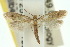  ( - 10ANIC-05080)  @14 [ ] CreativeCommons - Attribution (2010) CBG Photography Group Centre for Biodiversity Genomics