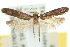  ( - 10ANIC-05107)  @12 [ ] CreativeCommons - Attribution (2010) CBG Photography Group Centre for Biodiversity Genomics